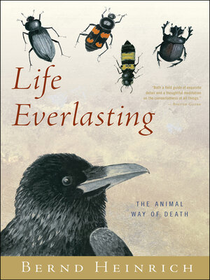 cover image of Life Everlasting